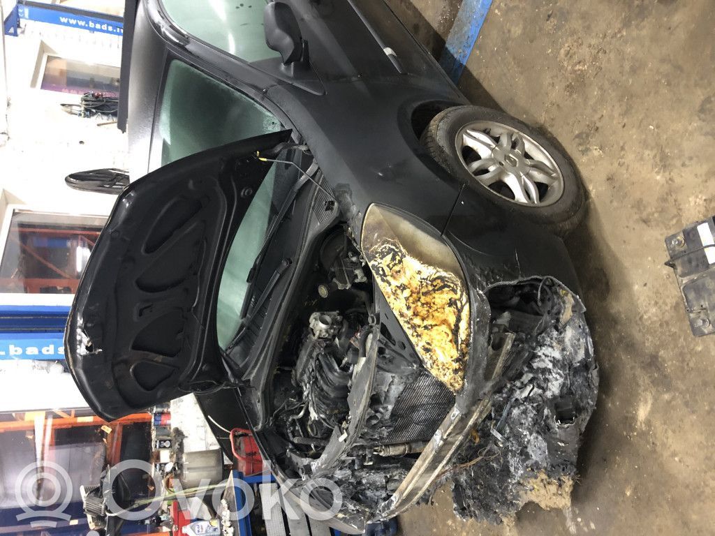 Clio III Clio