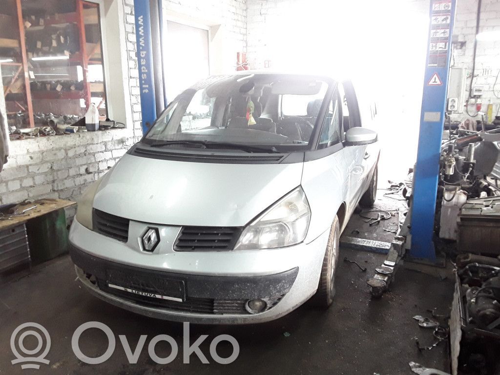 Espace -  Grand espace IV Espace  8200014856