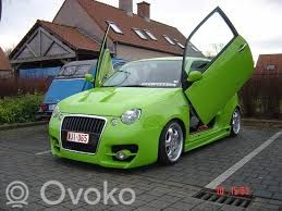 Lupo Lupo