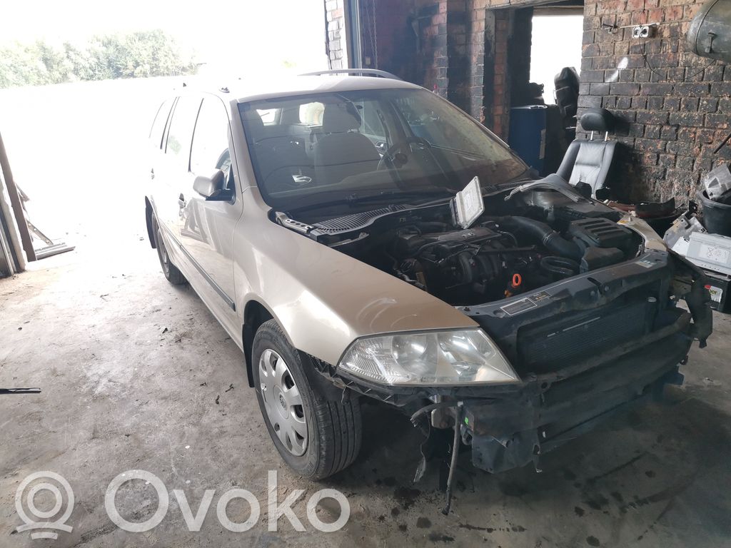 Octavia Mk2 (1Z) Octavia  LZA07V1