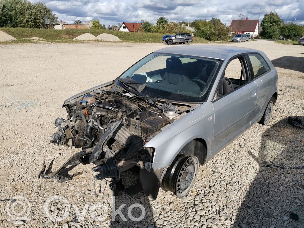 A3 S3 8P A3, S3