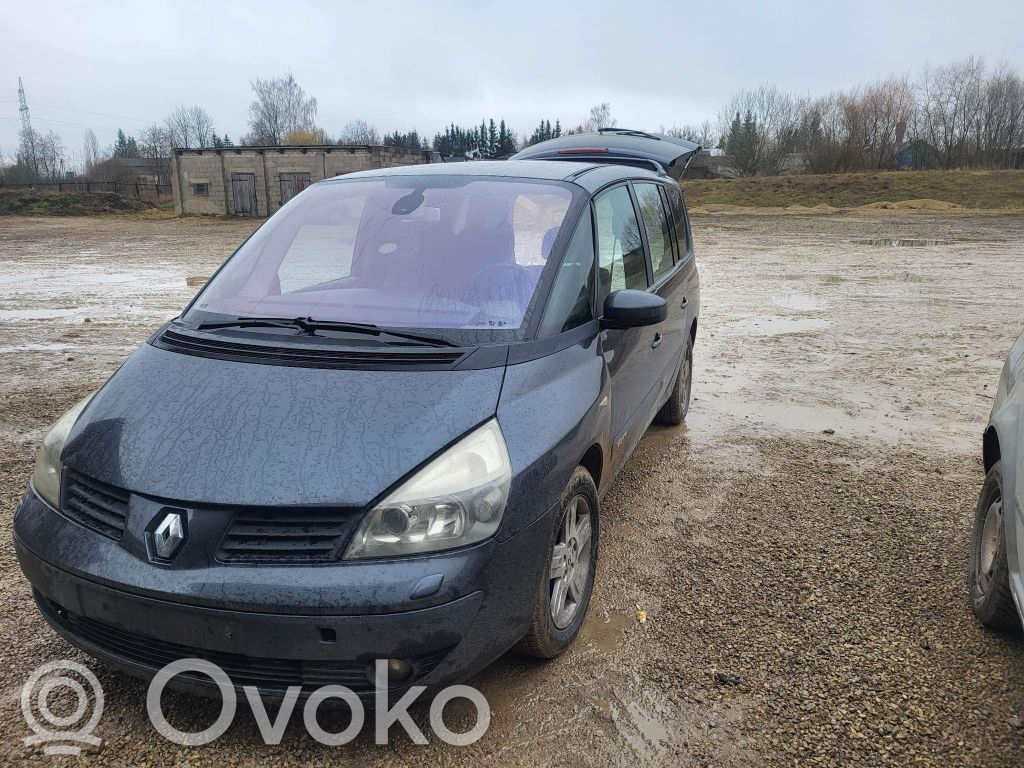 Espace -  Grand espace IV Espace  8200328425