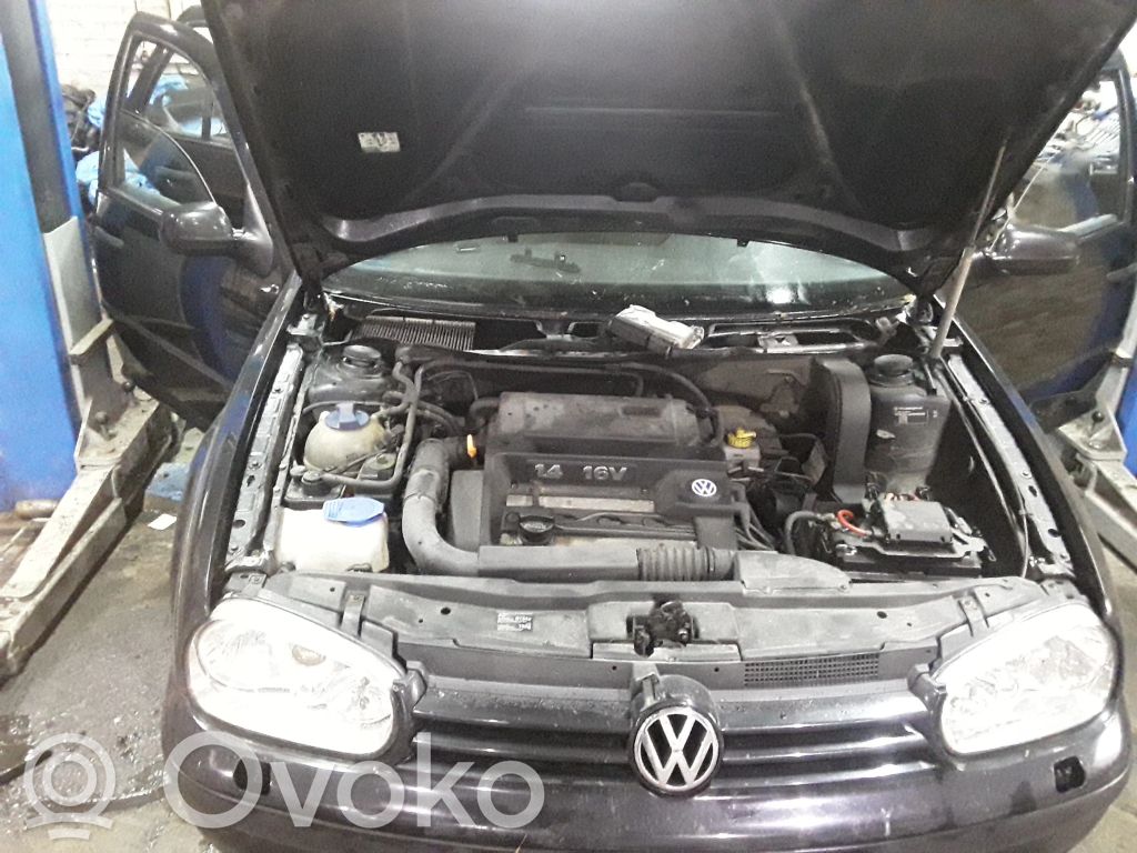 Golf IV Golf