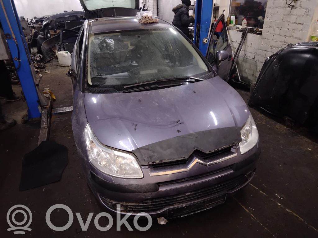 C4 I C4 Picasso, Grand Picasso, Aircross, Cactus