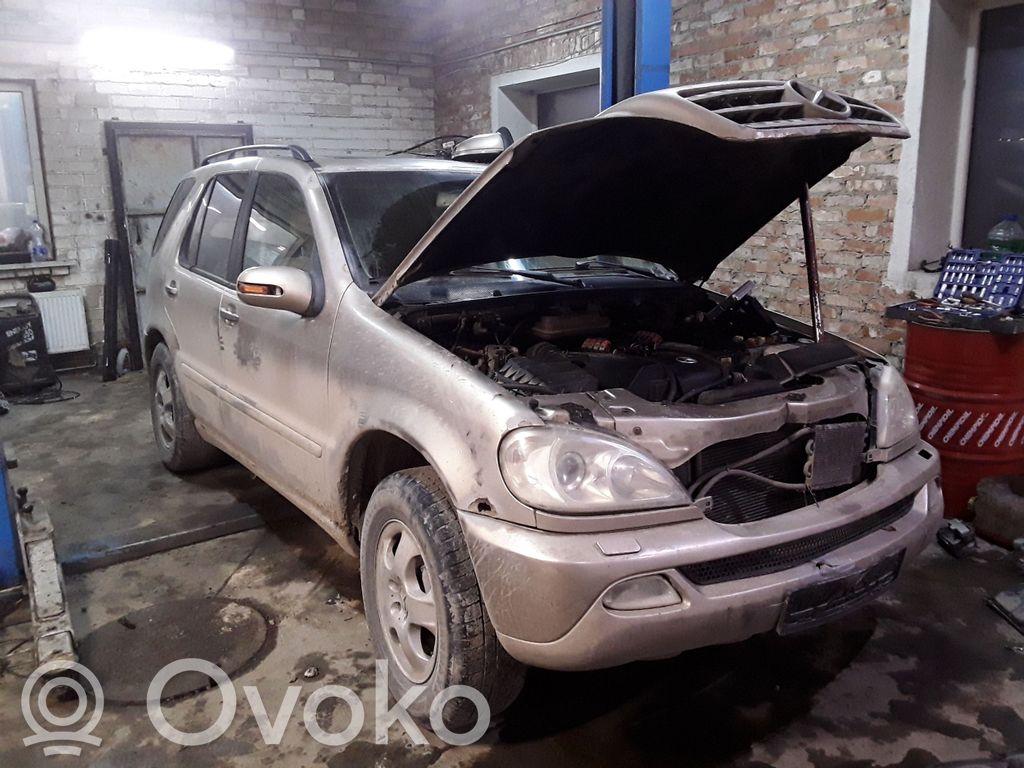 ML W163 ML-class, AMG (W163, W164, W166)