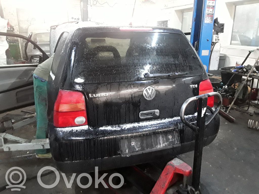Lupo Lupo