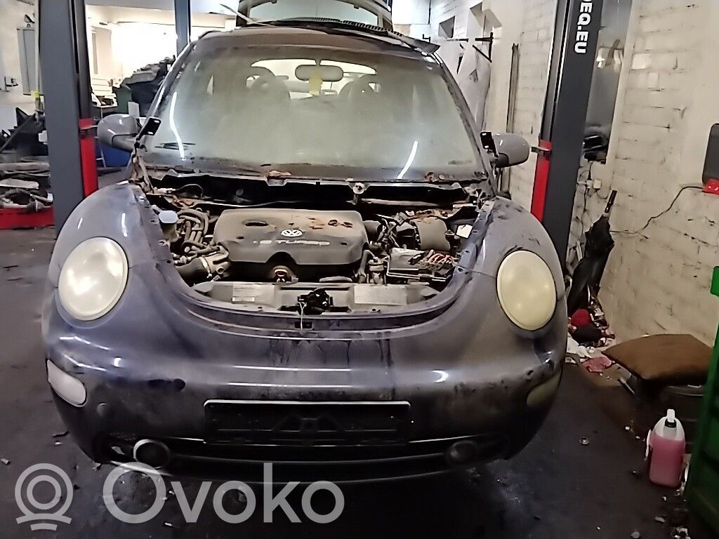 New Beetle New Beetle