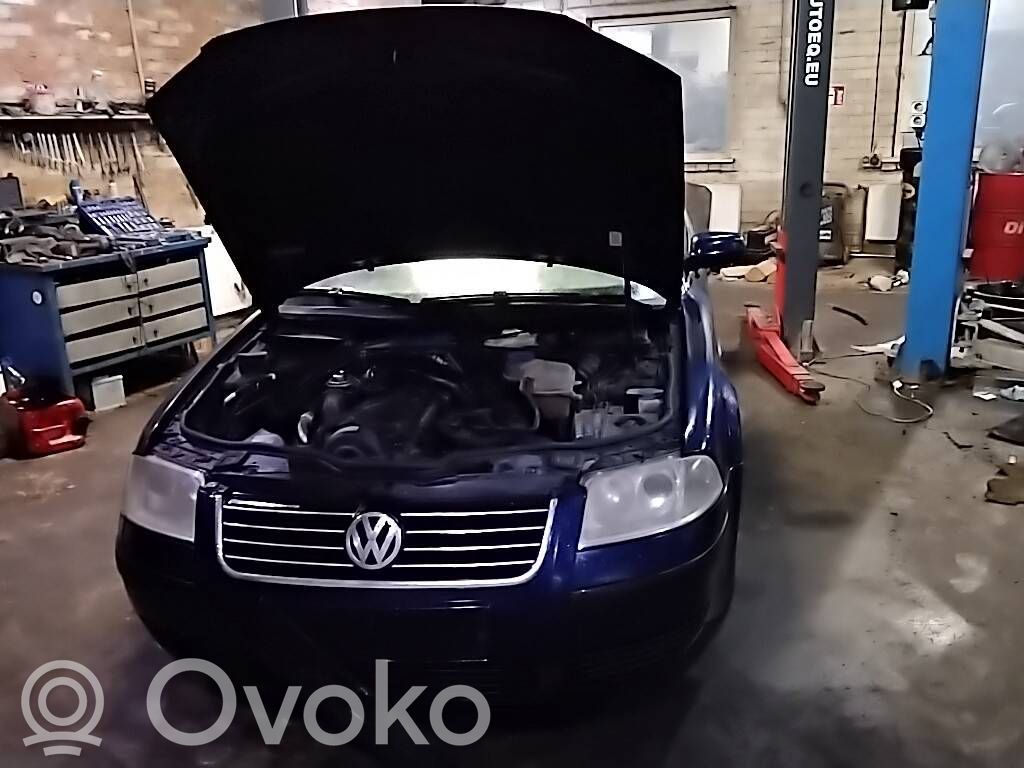 PASSAT B5.5 Passat