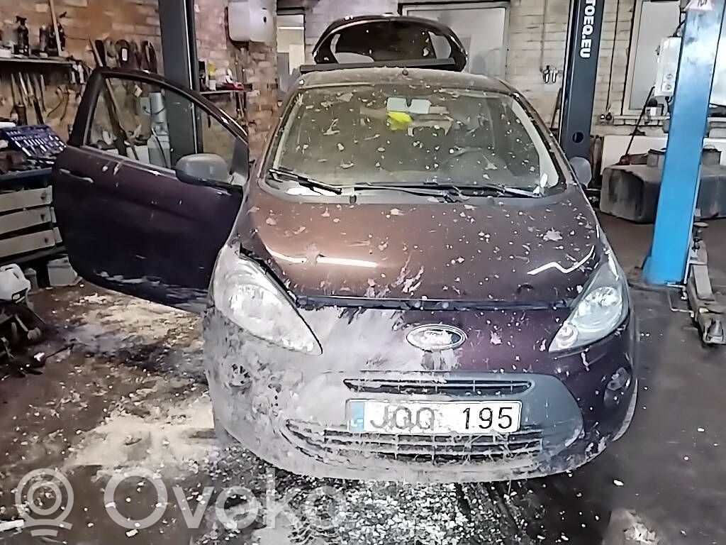Ka Ka  55222781