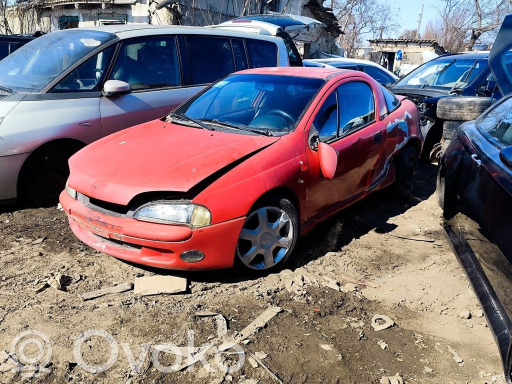 Tigra A Tigra  90519056