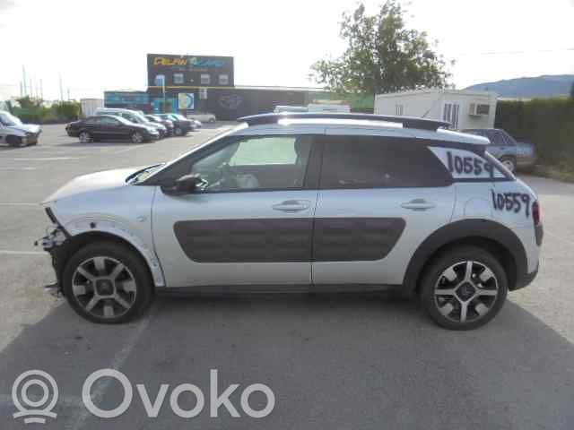C4 Cactus C4 Picasso, Grand Picasso, Aircross, Cactus