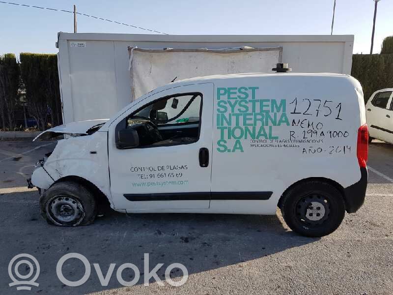 Nemo Nemo  51801577