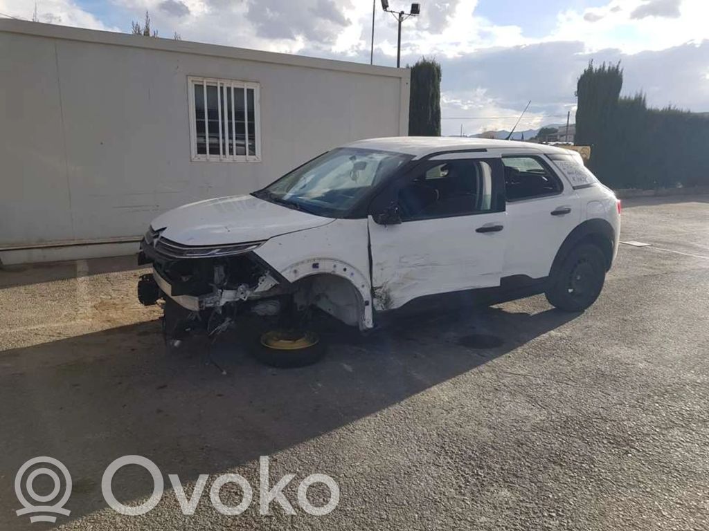 C4 Cactus C4 Picasso, Grand Picasso, Aircross, Cactus  9816276480