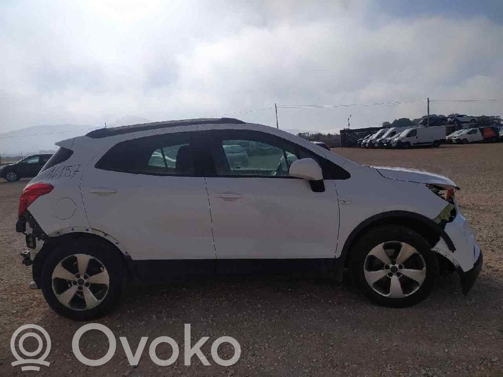 Mokka X Mokka  55497878
