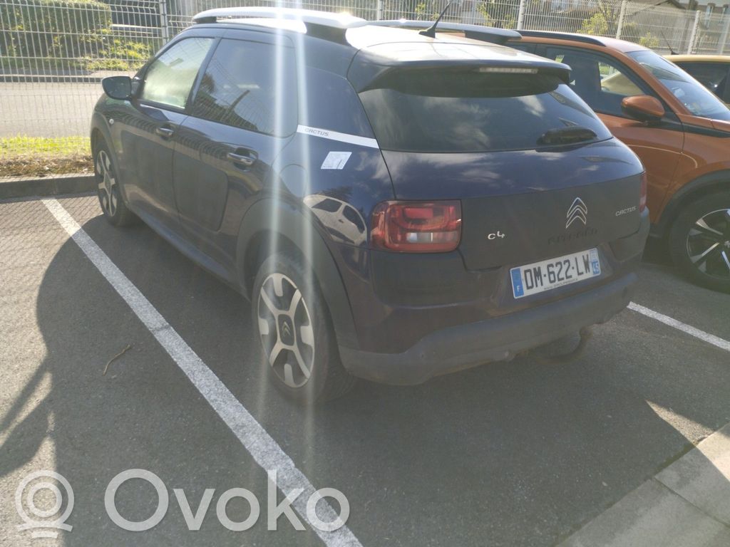 C4 Cactus C4 Picasso, Grand Picasso, Aircross, Cactus  98016919XT