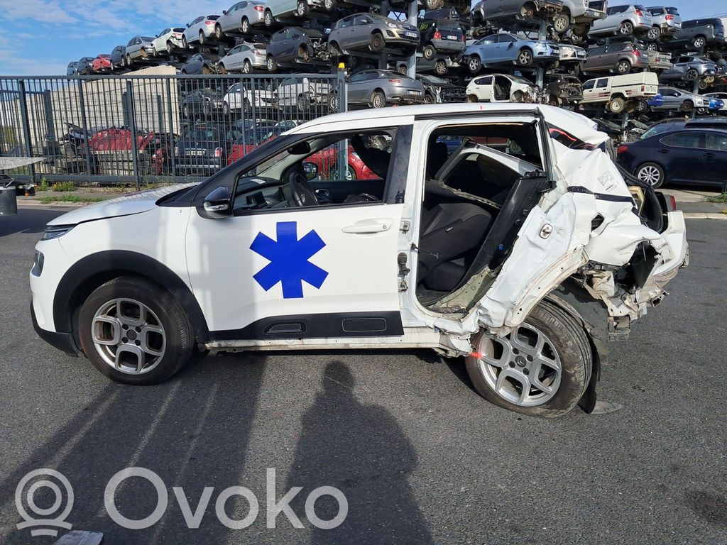C4 Cactus C4 Picasso, Grand Picasso, Aircross, Cactus  1648639580
