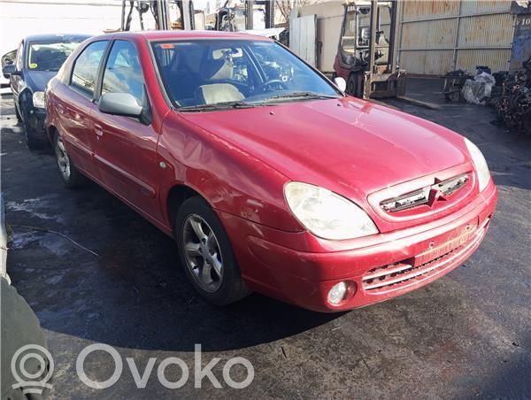 Xsara Xsara, Xsara Picasso