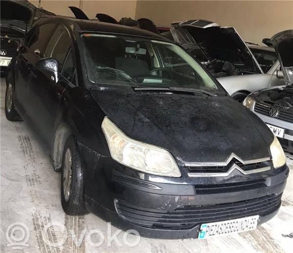 C4 I C4 Picasso, Grand Picasso, Aircross, Cactus