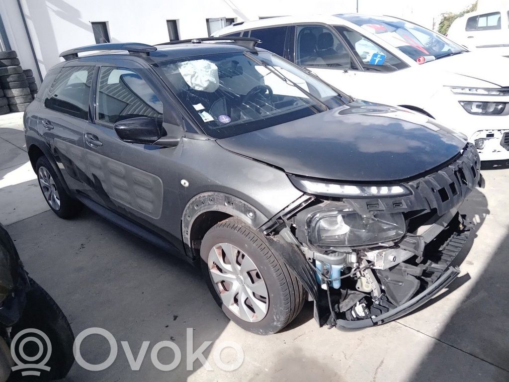 C4 Cactus C4 Picasso, Grand Picasso, Aircross, Cactus  1619251080