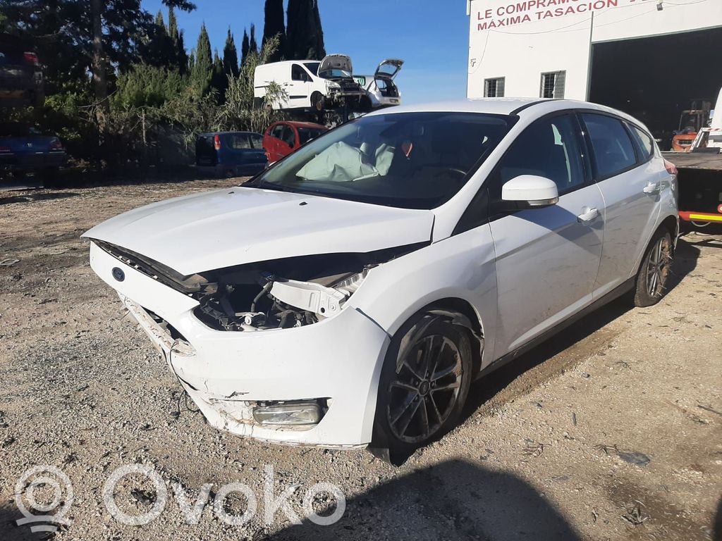 Focus Focus  BM5113776FD