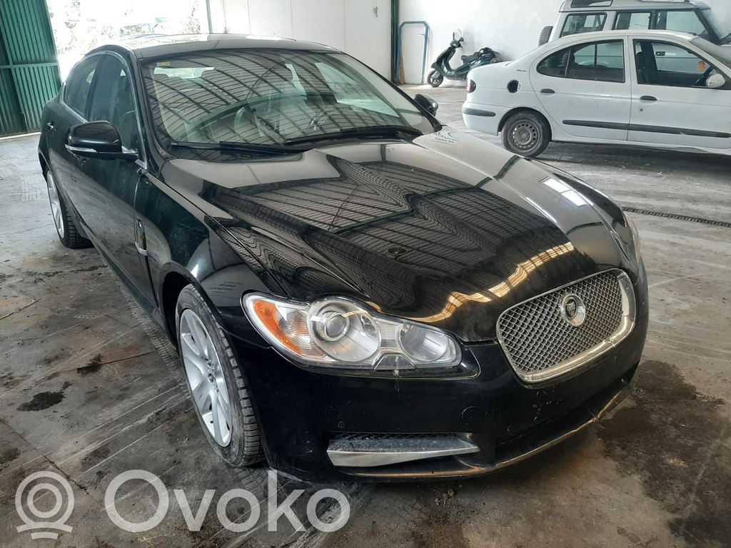 XF X250 XF