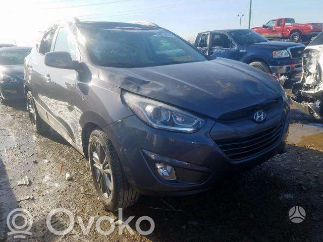 Tucson LM Tucson