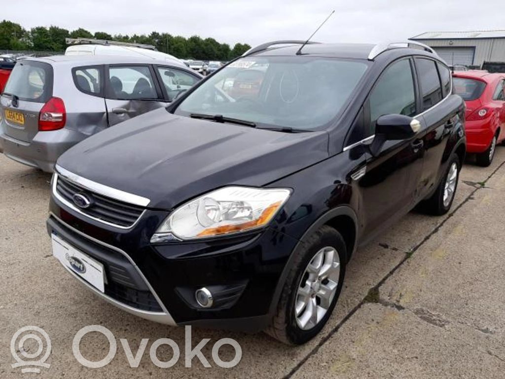 Kuga I Kuga  4986104