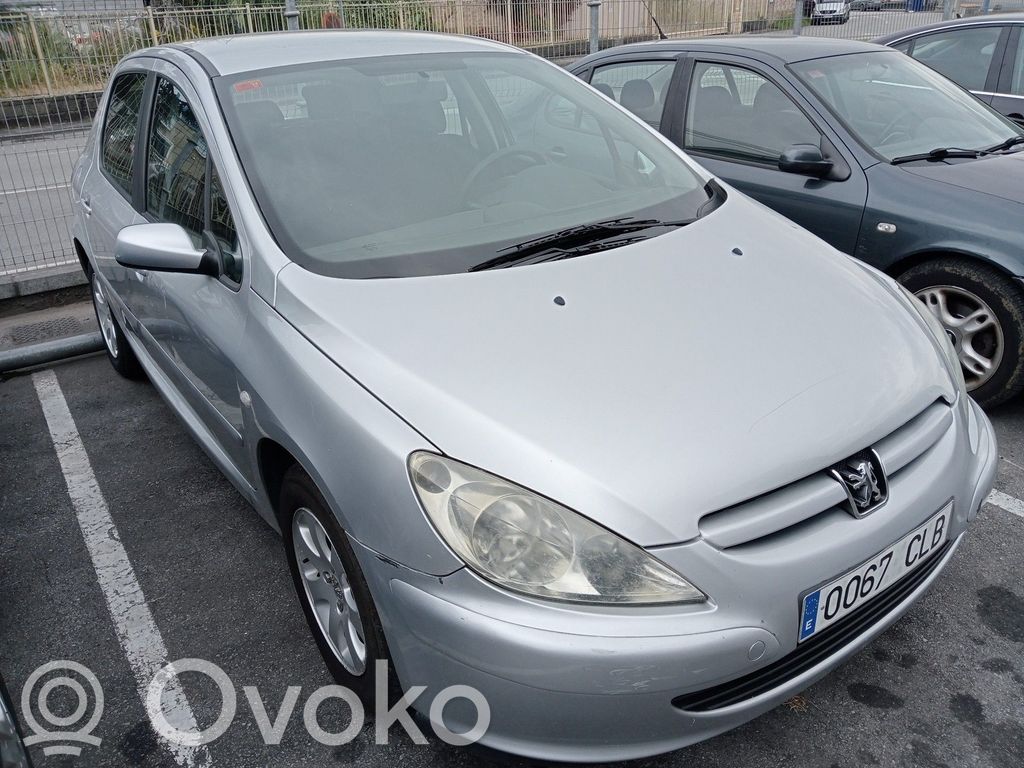 307 307  HS9653059580