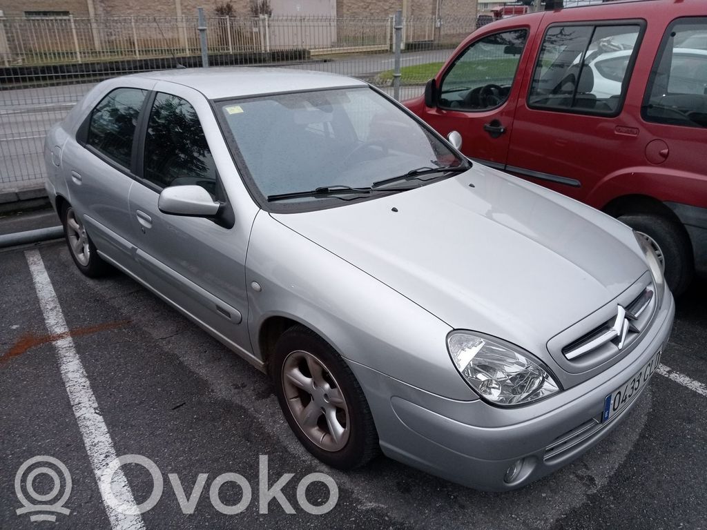 Xsara Xsara, Xsara Picasso