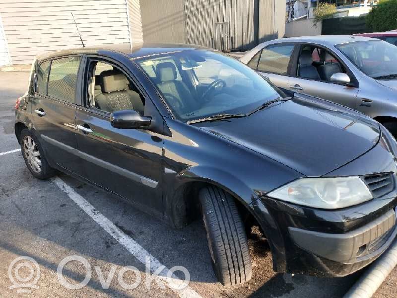 Megane II Megane  0265234468