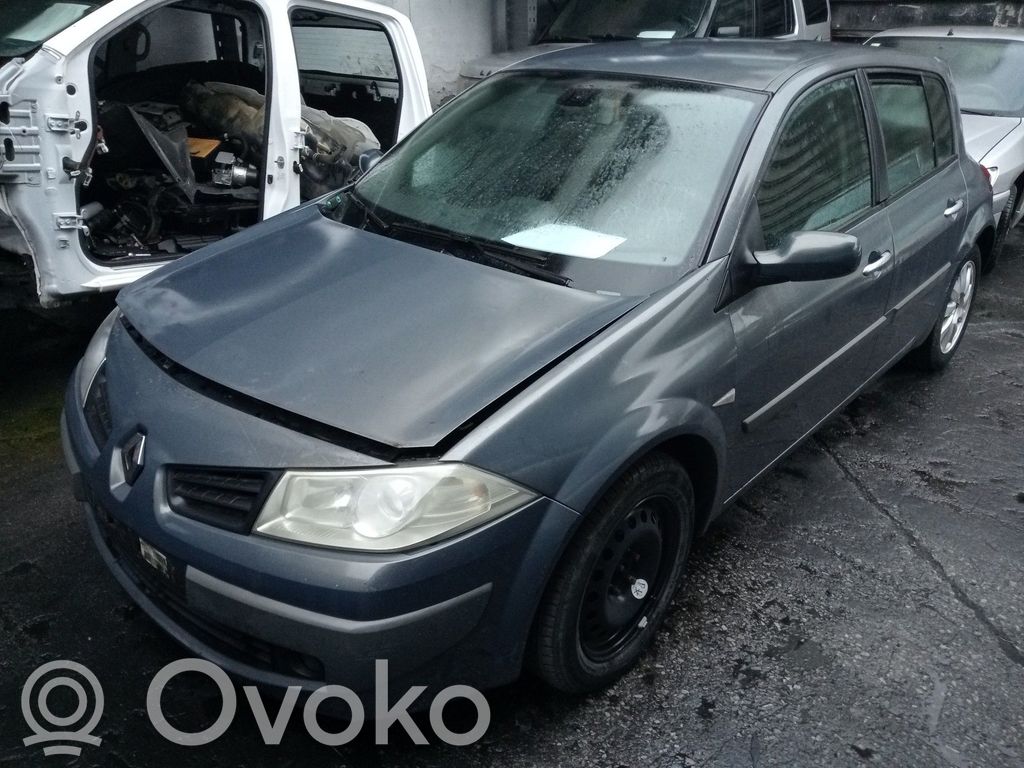 Megane II Megane  02659507280