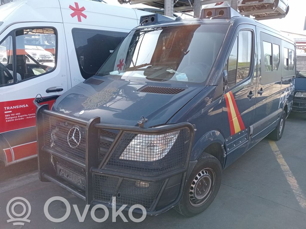 Sprinter W906 Sprinter  0281015055