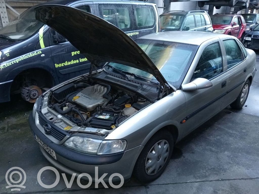 Vectra B Vectra