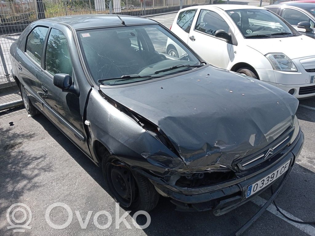 Xsara Xsara, Xsara Picasso