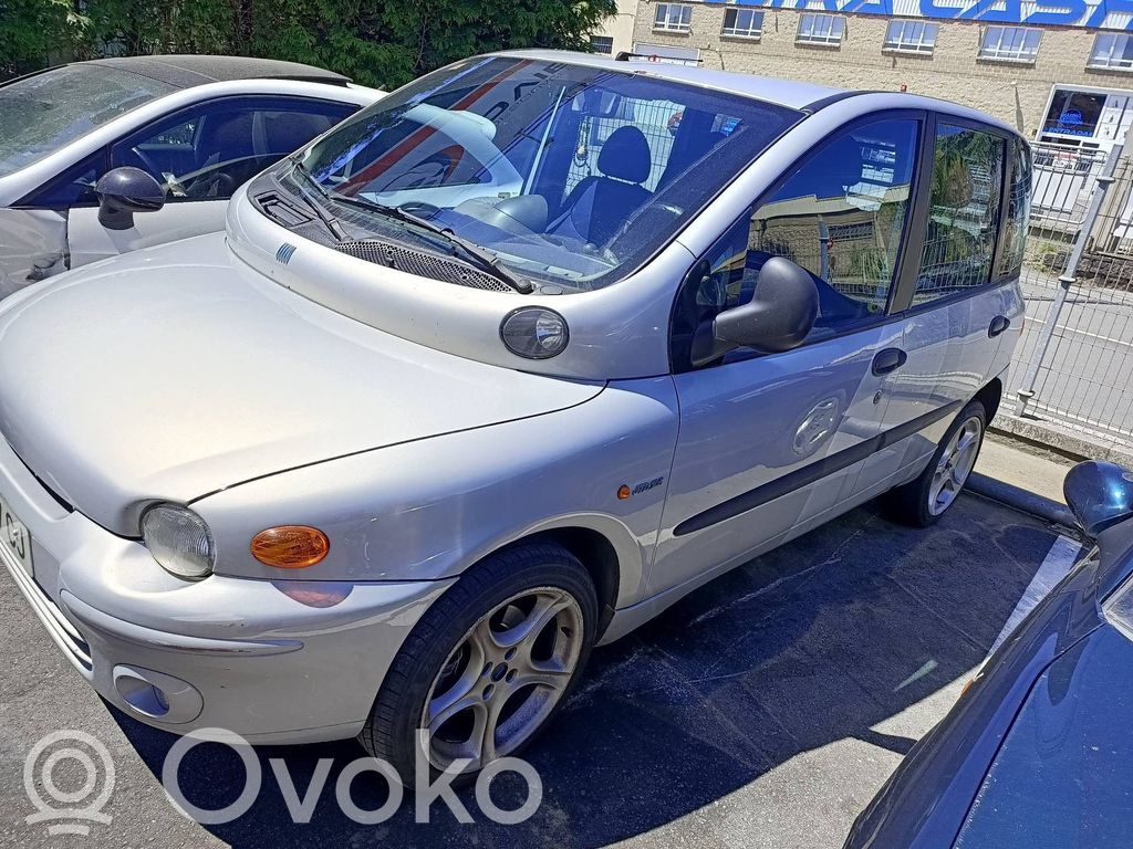 Multipla Multipla