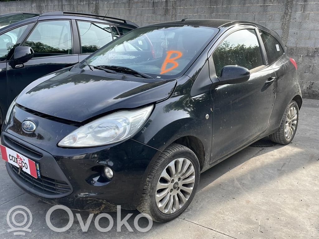 Ka Ka  1542365