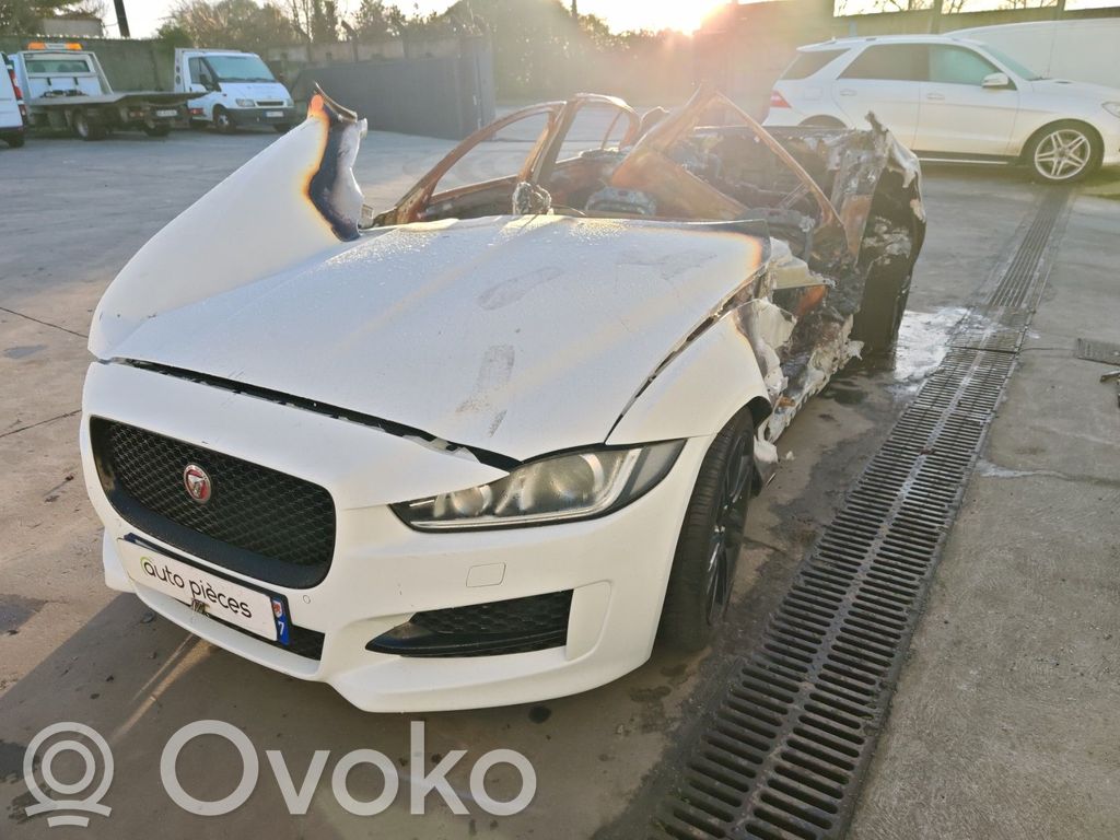 XE XE  T2H26974