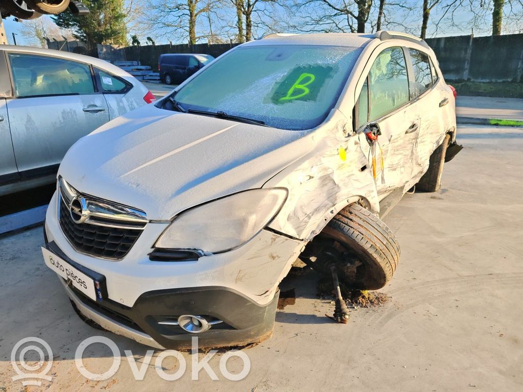 Mokka Mokka  95273831