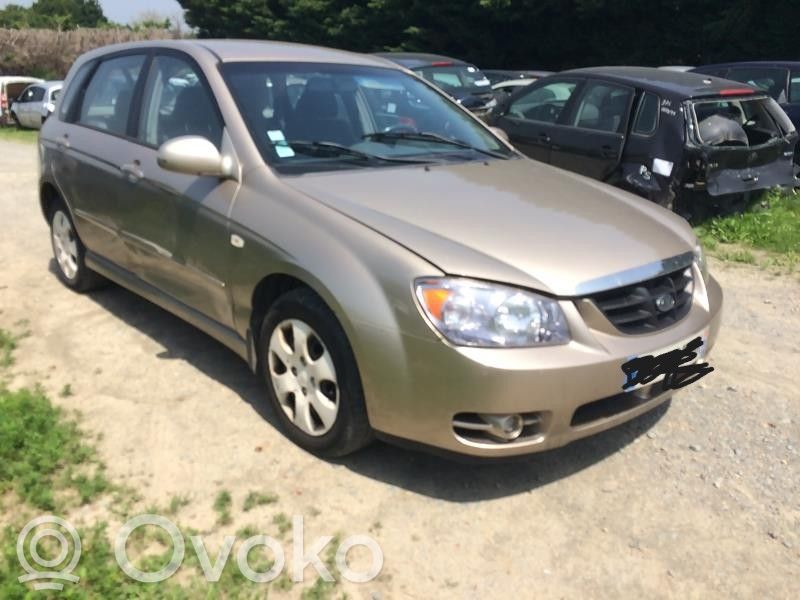 Cerato Cerato  924012F2L