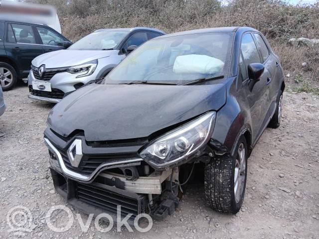 Captur Captur  0258027031