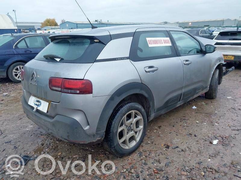 C4 Cactus C4 Picasso, Grand Picasso, Aircross, Cactus  9801808680
