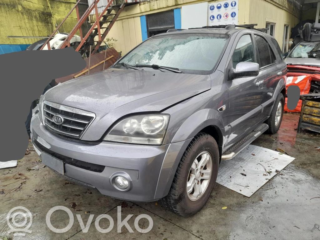 Sorento Sorento  911713E920