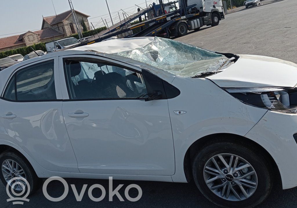 Picanto Picanto  299181679