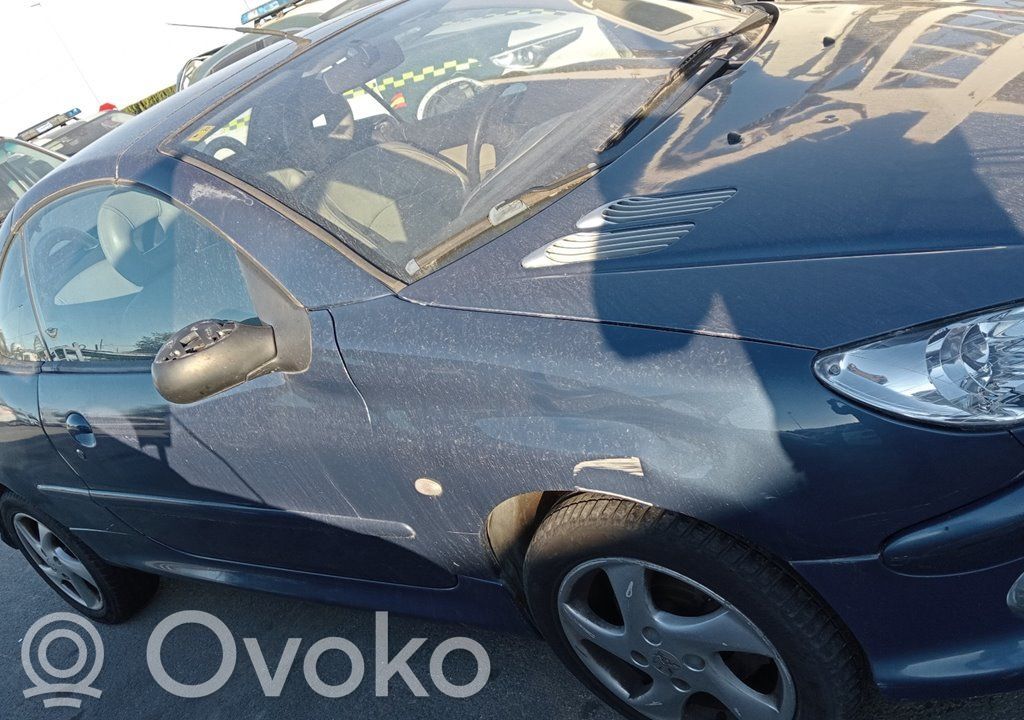 206 206, 206+  96307460ZL