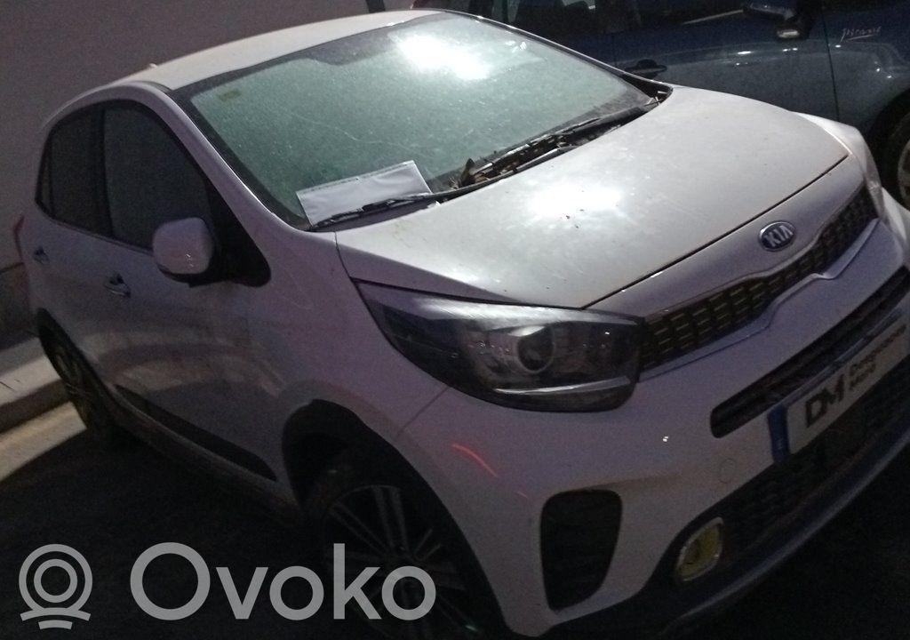 Picanto Picanto  3910704305