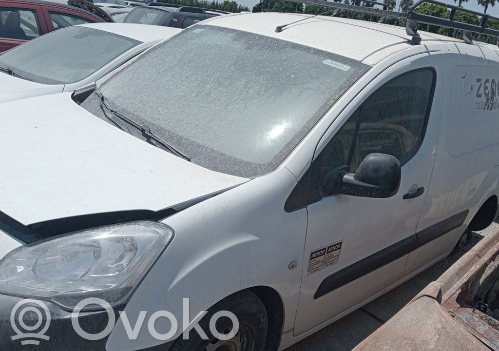 Berlingo Berlingo  1613645380