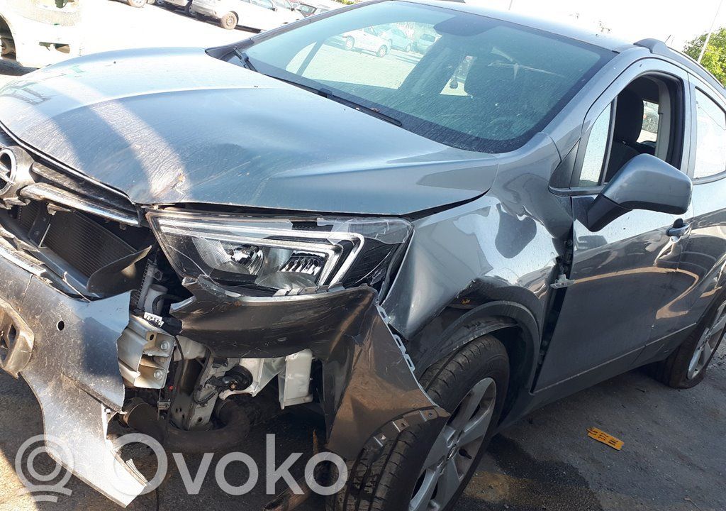 Mokka X Mokka  39086776