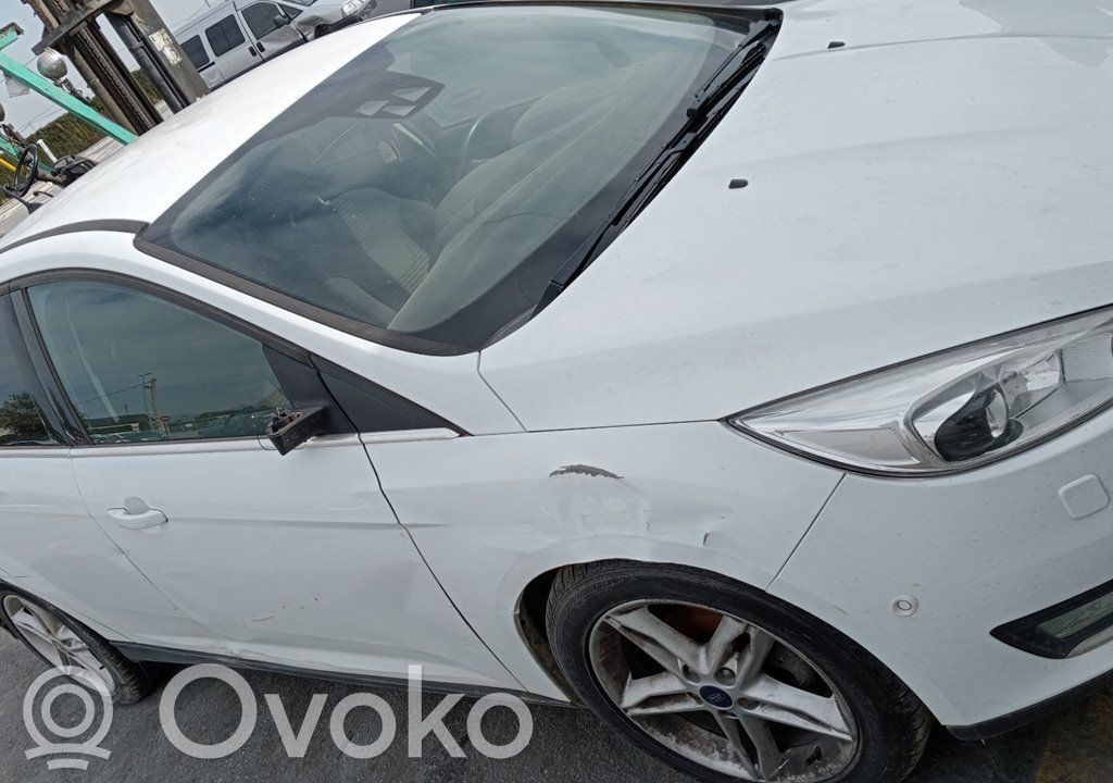 Focus Focus  921755106