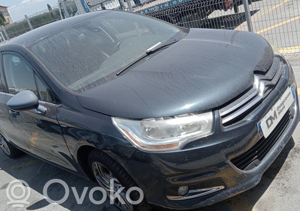 C4 II C4 Picasso, Grand Picasso, Aircross, Cactus  9666027477