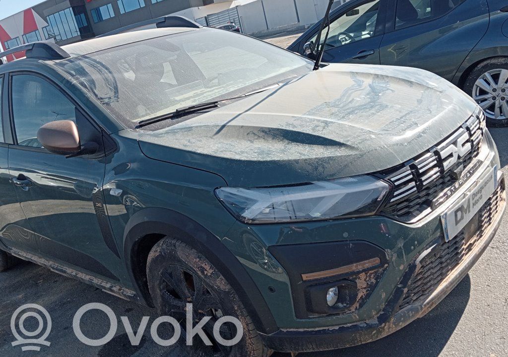 Sandero III Sandero, Sandero Stepway  226900947R